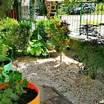 Guest house Dolce Villa Balaton 3*