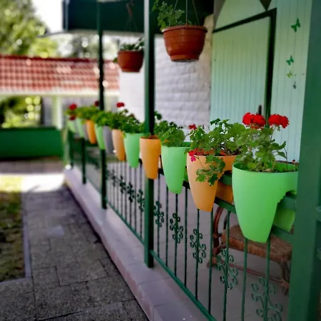 Guest house Dolce Villa Balaton 3*